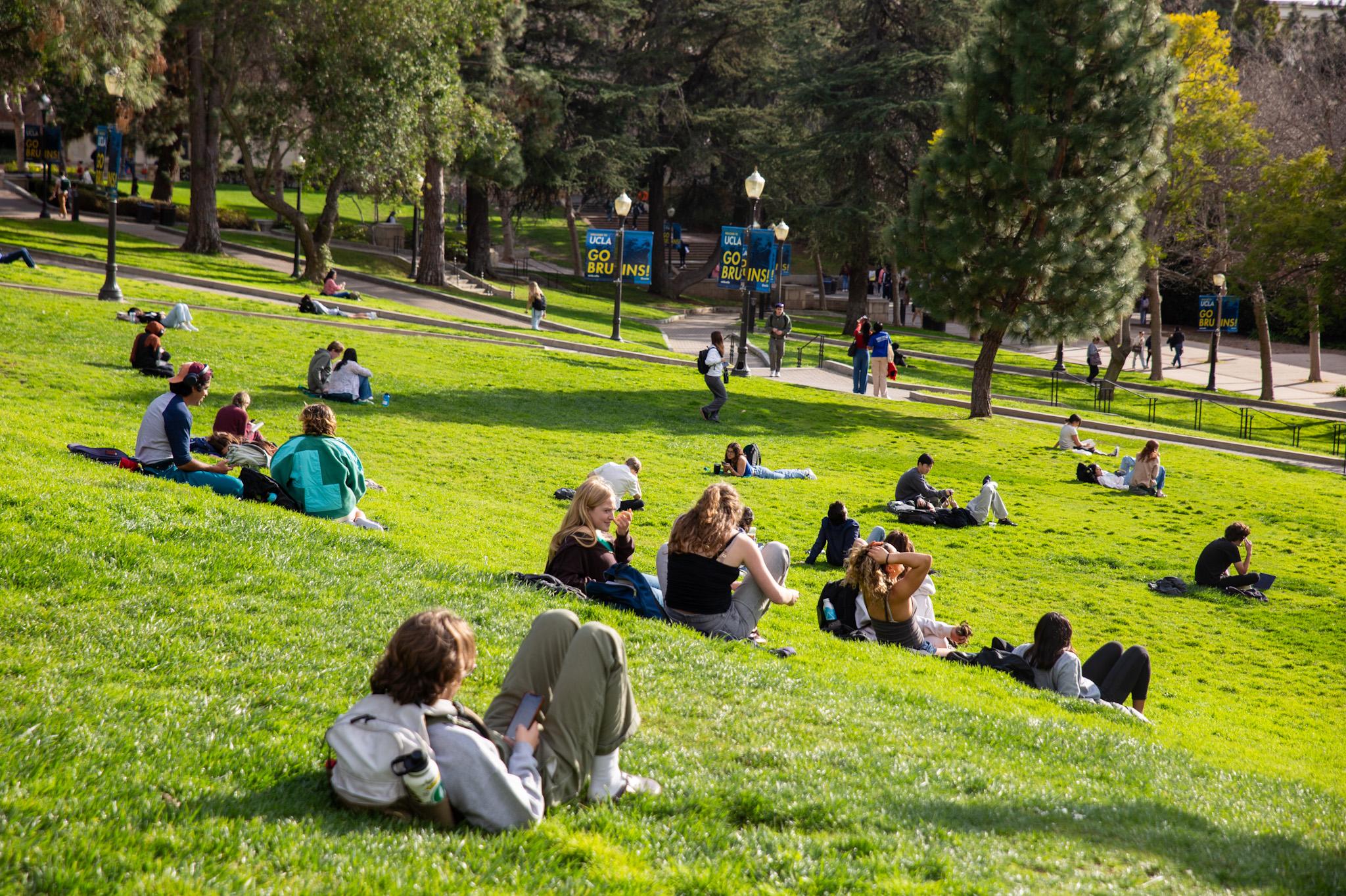 Students lying in the grass in the sun at the UCLA campus.