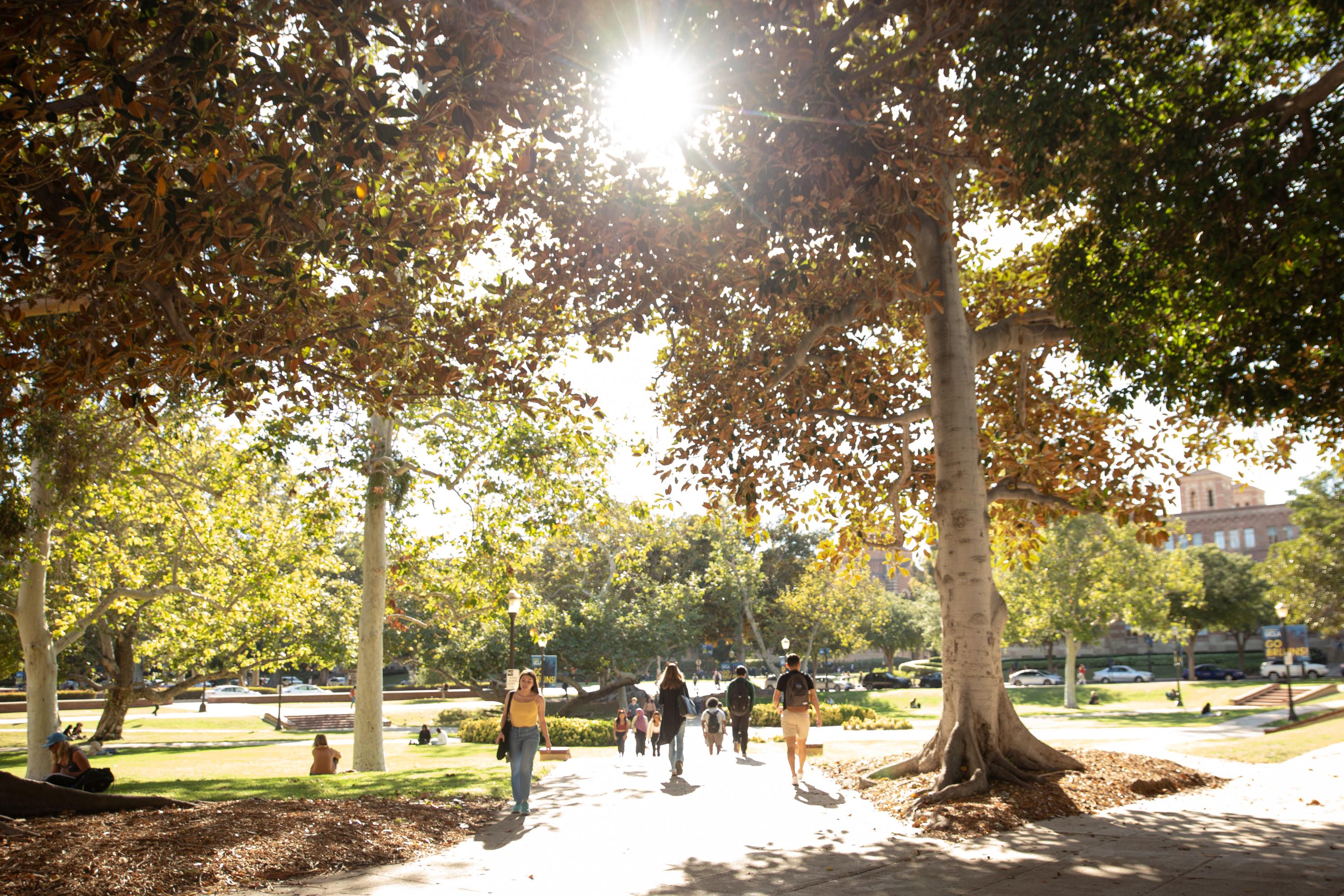 Students walking in the UCLA campus on a sunny day.