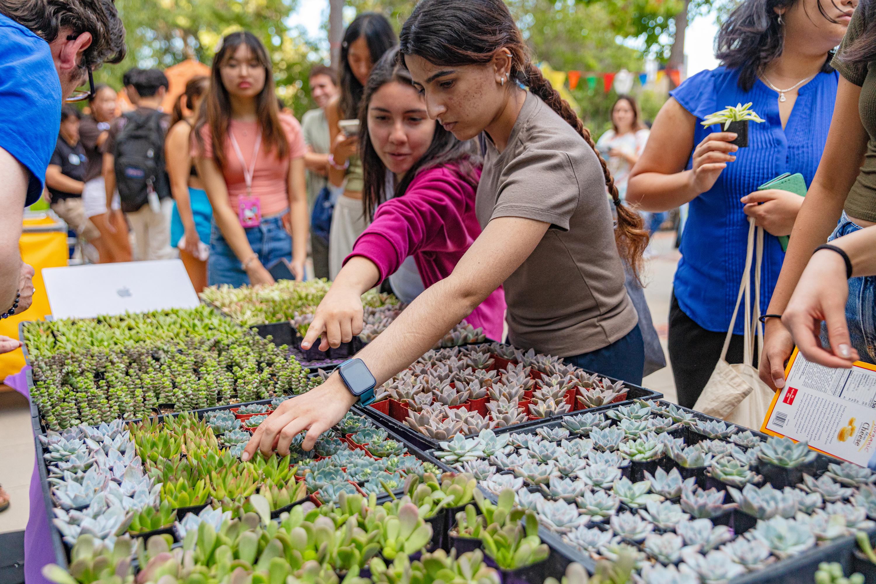 Students looking at a table of succulents at a sustainability event at UCLA.