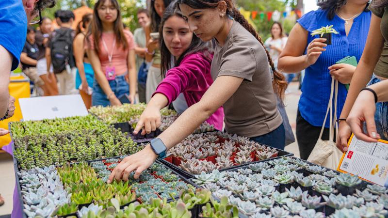 Students looking at a table of succulents at a sustainability event at UCLA.